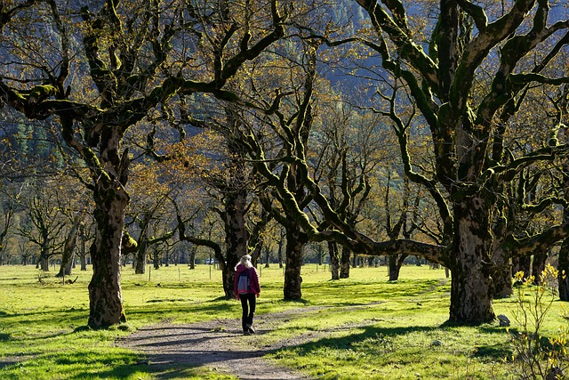 cycling, bike, trail, nature, road, adventure