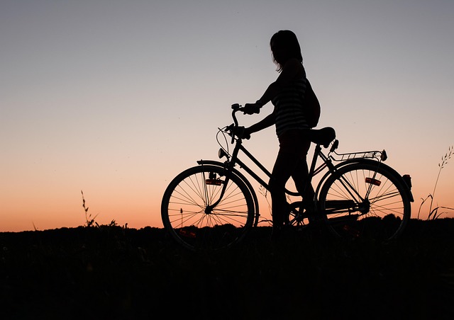 cycling, bike, trail, nature, road, adventure