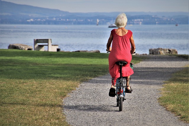 cycling, bike, trail, nature, road, adventure