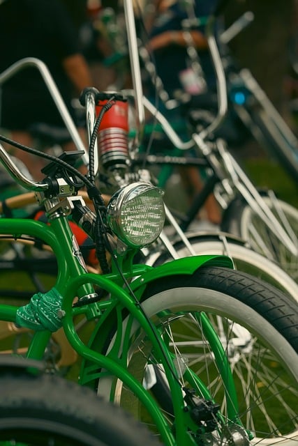 cycling, bike, trail, nature, road, adventure