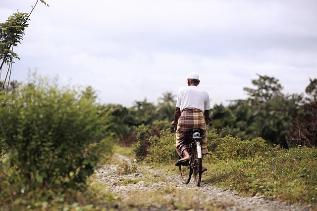 cycling, bike, trail, nature, road, adventure