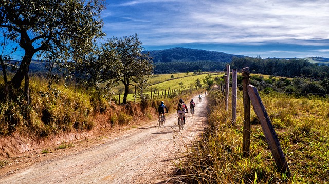 cycling-bike-trail-nature-road-adventure-640x480-2189157.jpeg