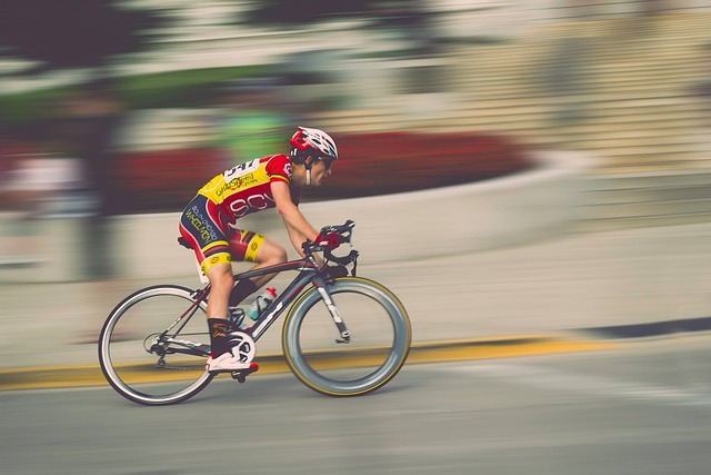 cycling, bike, trail, nature, road, adventure
