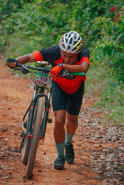 cycling, bike, trail, nature, road, adventure