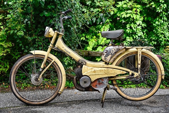 cycling, bike, trail, nature, road, adventure