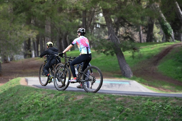 cycling-bike-trail-nature-road-adventure-640x480-33699150.jpeg