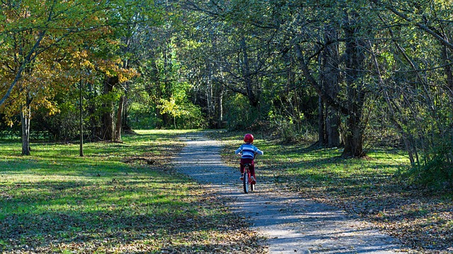cycling, bike, trail, nature, road, adventure