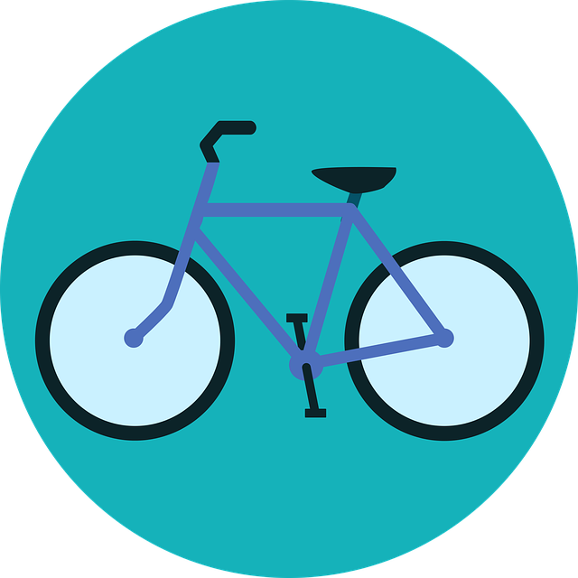 cycling, bike, trail, nature, road, adventure