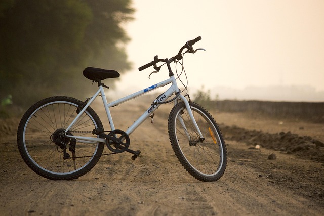 cycling, bike, trail, nature, road, adventure