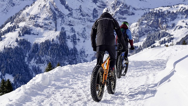 cycling, bike, trail, nature, road, adventure