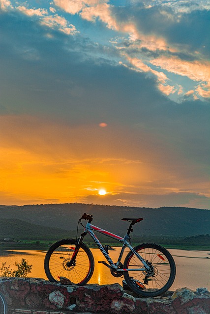 cycling-bike-trail-nature-road-adventure-640x480-53699683.jpeg