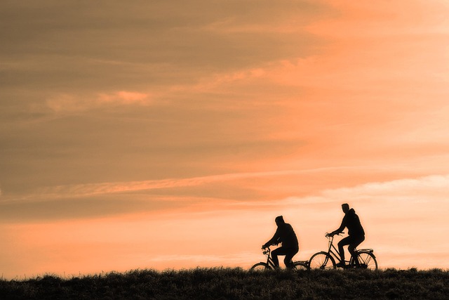 cycling-bike-trail-nature-road-adventure-640x480-69595239.jpeg