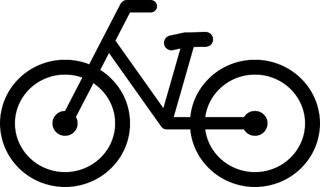 cycling, bike, trail, nature, road, adventure