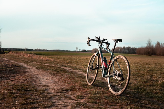 cycling-bike-trail-nature-road-adventure-640x480-79618308.jpeg