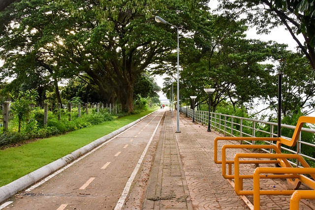 cycling, bike, trail, nature, road, adventure