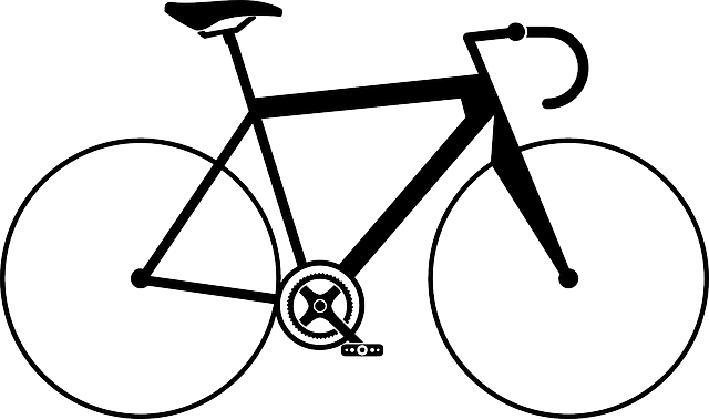 cycling, bike, trail, nature, road, adventure