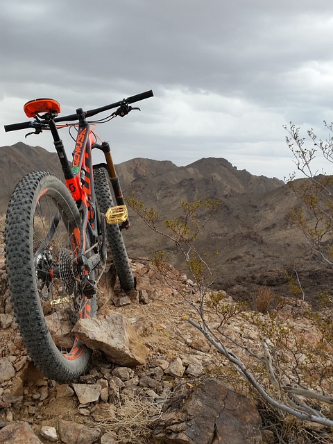 cycling, biking, trails, roads, bike, adventure