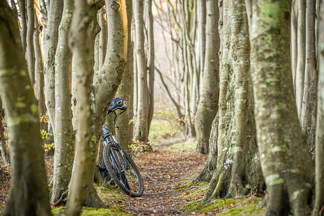 cycling-biking-trails-roads-bike-adventu-640x480-56052115.jpeg