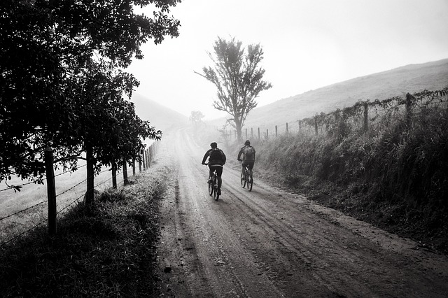 cycling, biking, trails, roads, bike, adventure