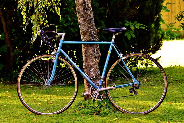 Discover Lane County’s Hidden Bike Gems: Ultimate Cycling Guide