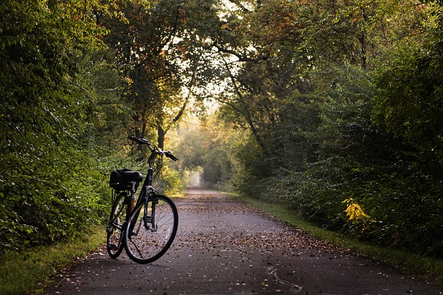 cycling-biking-trails-roads-bike-adventu-640x480-81983916.jpeg
