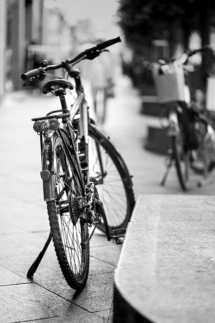 cycling-biking-trails-roads-bike-adventu-640x480-82007688.jpeg