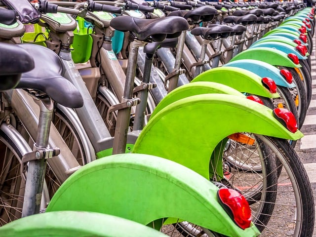 cycling, biking, trails, roads, bike, adventure