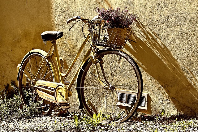 cycling-biking-trails-roads-bike-adventu-640x480-8937627.jpeg