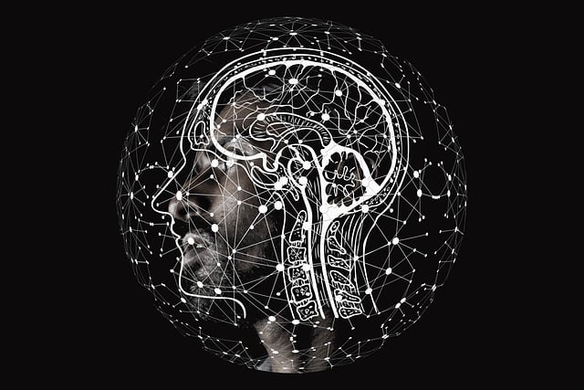 data, analysis, assistant, business, intelligent, insights