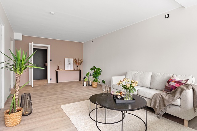 decor-student-apartment-budget-diy-colle-640x480-48219502.jpeg