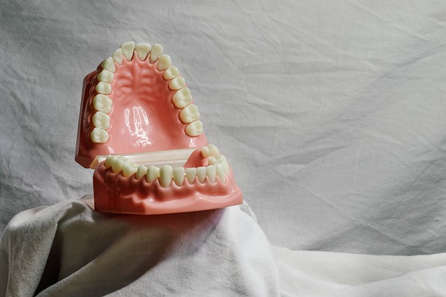 dentist