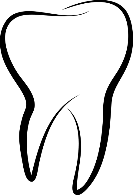 dentistsmilewhite-teeth-640x480-1182393.png