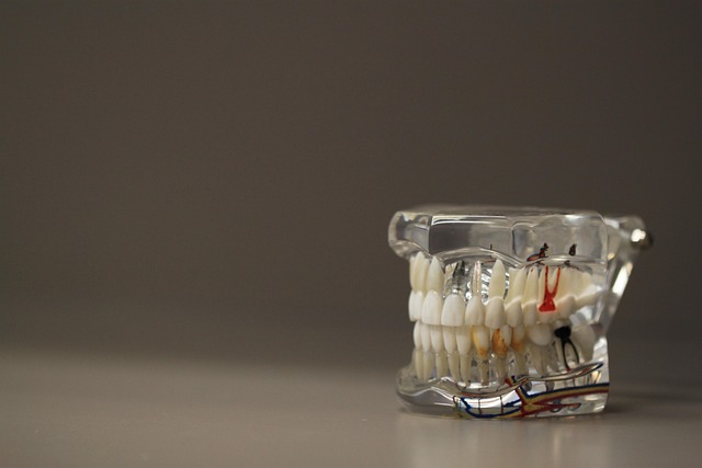 dentist,smile,white teeth