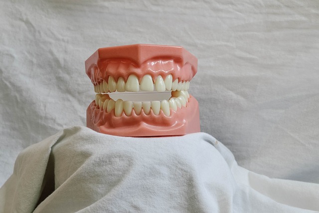 dentistsmilewhite-teeth-640x480-45185039.jpeg