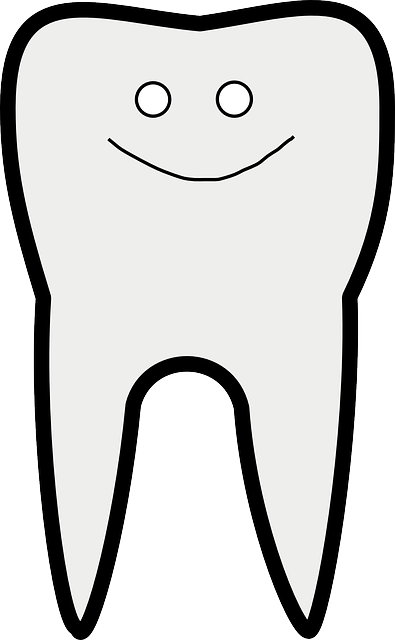 dentist,smile,white teeth