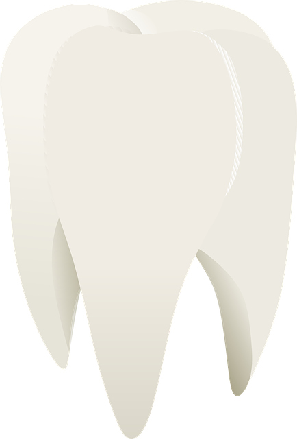 dentist,smile,white teeth
