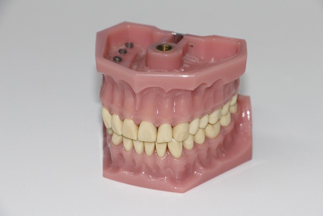 dentist,smile,white teeth