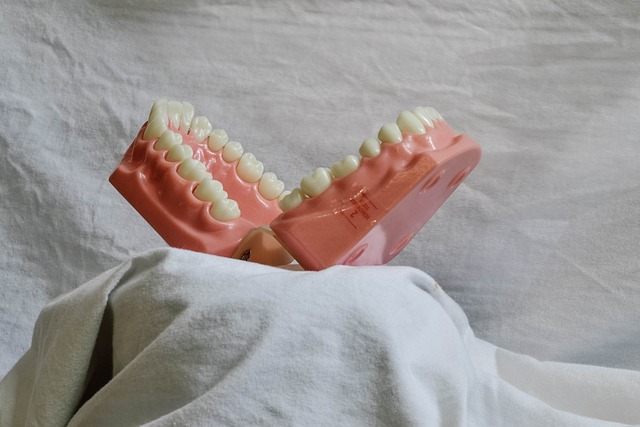 dentist,smile,white teeth