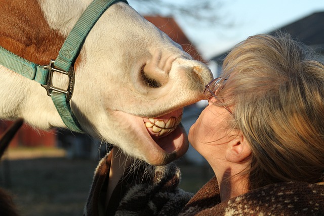 dentistsmilewhite-teeth-640x480-67909886.jpeg
