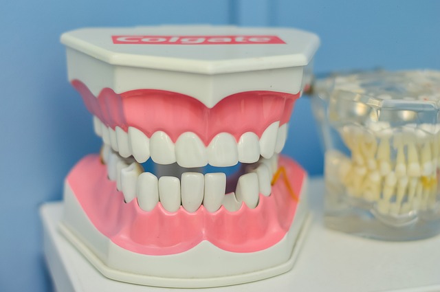 dentist,smile,white teeth