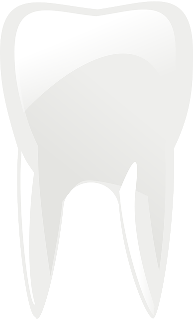 dentist,smile,white teeth