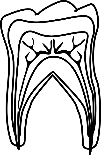 dentist,smile,white teeth
