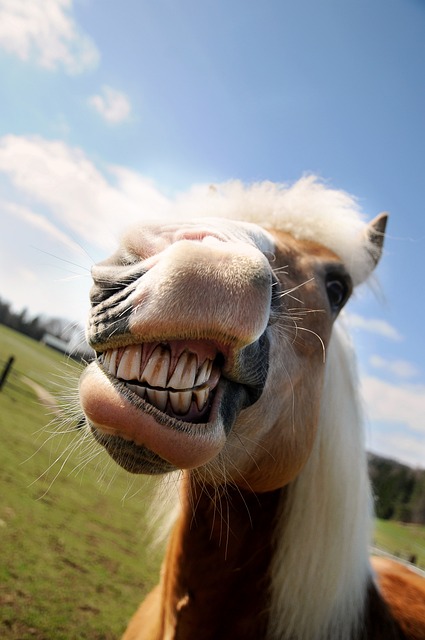 dentistsmilewhite-teeth-640x480-82565715.jpeg