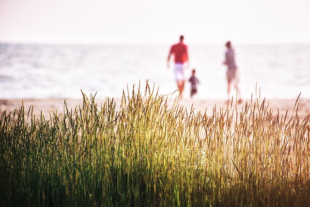 Divorce, support, Oregon, legal, child, family