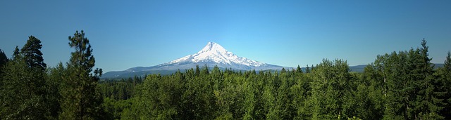 drug, defense, Oregon, legal, charge, strategy