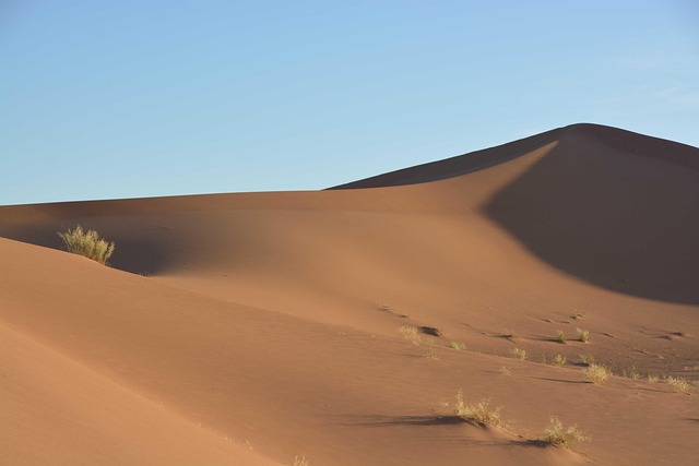 dunes