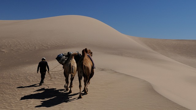 dunes
