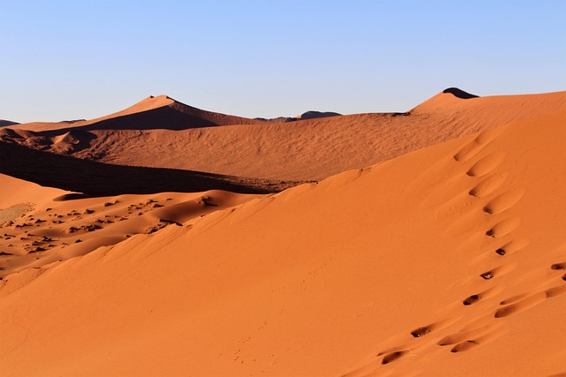 dunes