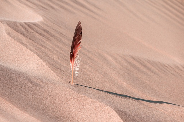 dunes