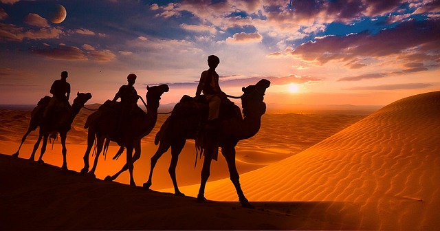 dunes-sandboarding-adventure-landscape-n-640x480-10499004.jpeg